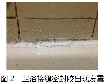 矽酮結構密封膠質量問題分析及控制措施