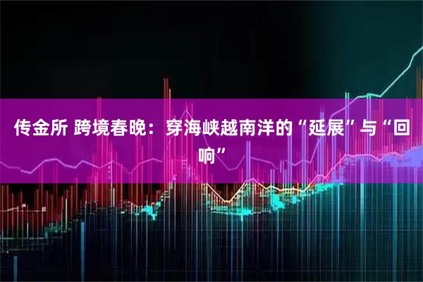 传金所 跨境春晚：穿海峡越南洋的“延展”与“回响”