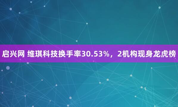 启兴网 维琪科技换手率30.53%，2机构现身龙虎榜